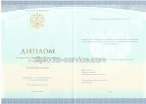 Диплом техникума (Спецбланк) 2014-2026 года